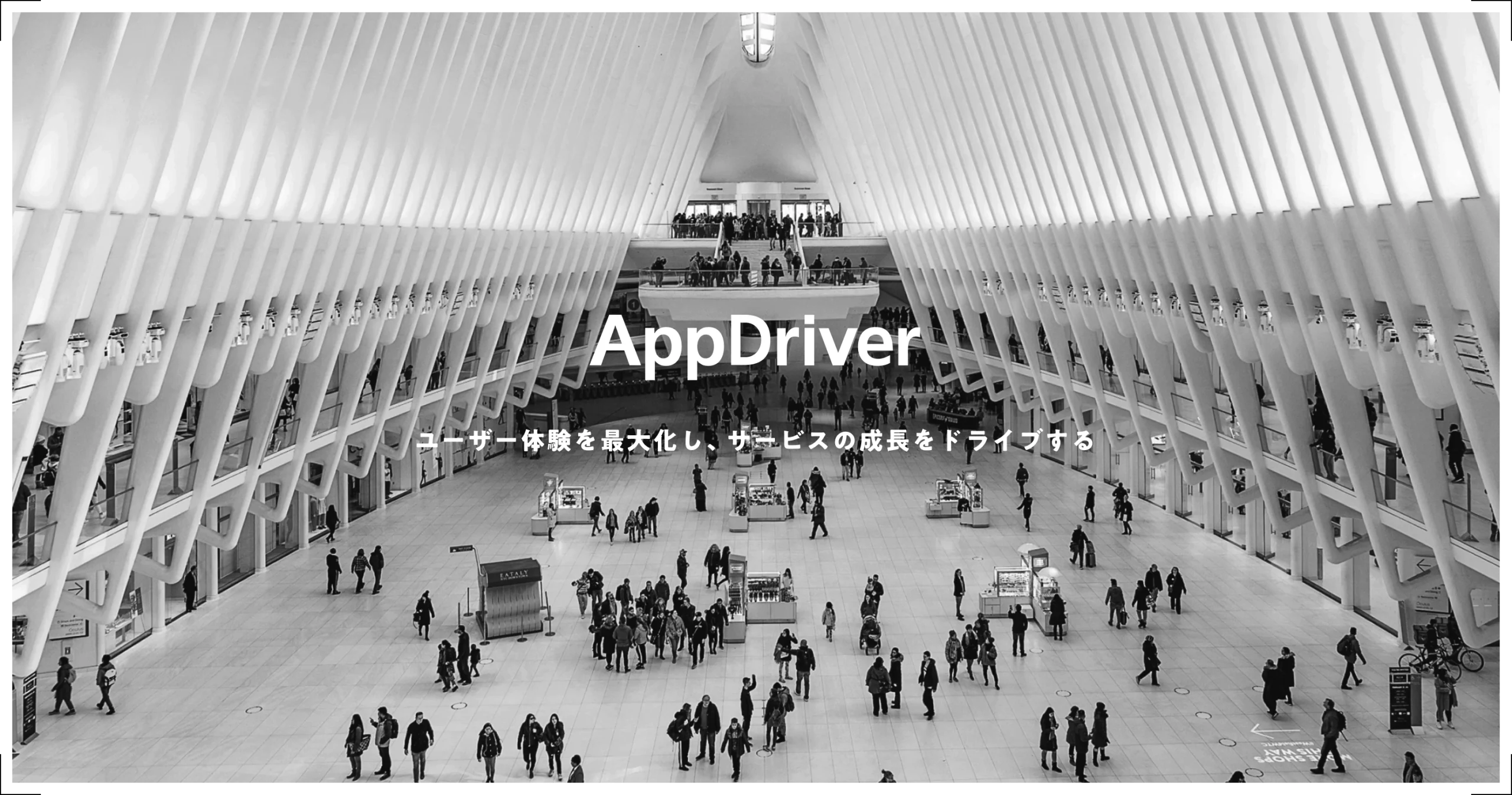 AppDriver